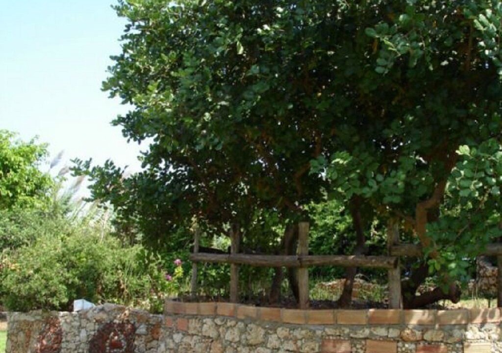 Photo of Outdoor in Hersonissos Centre