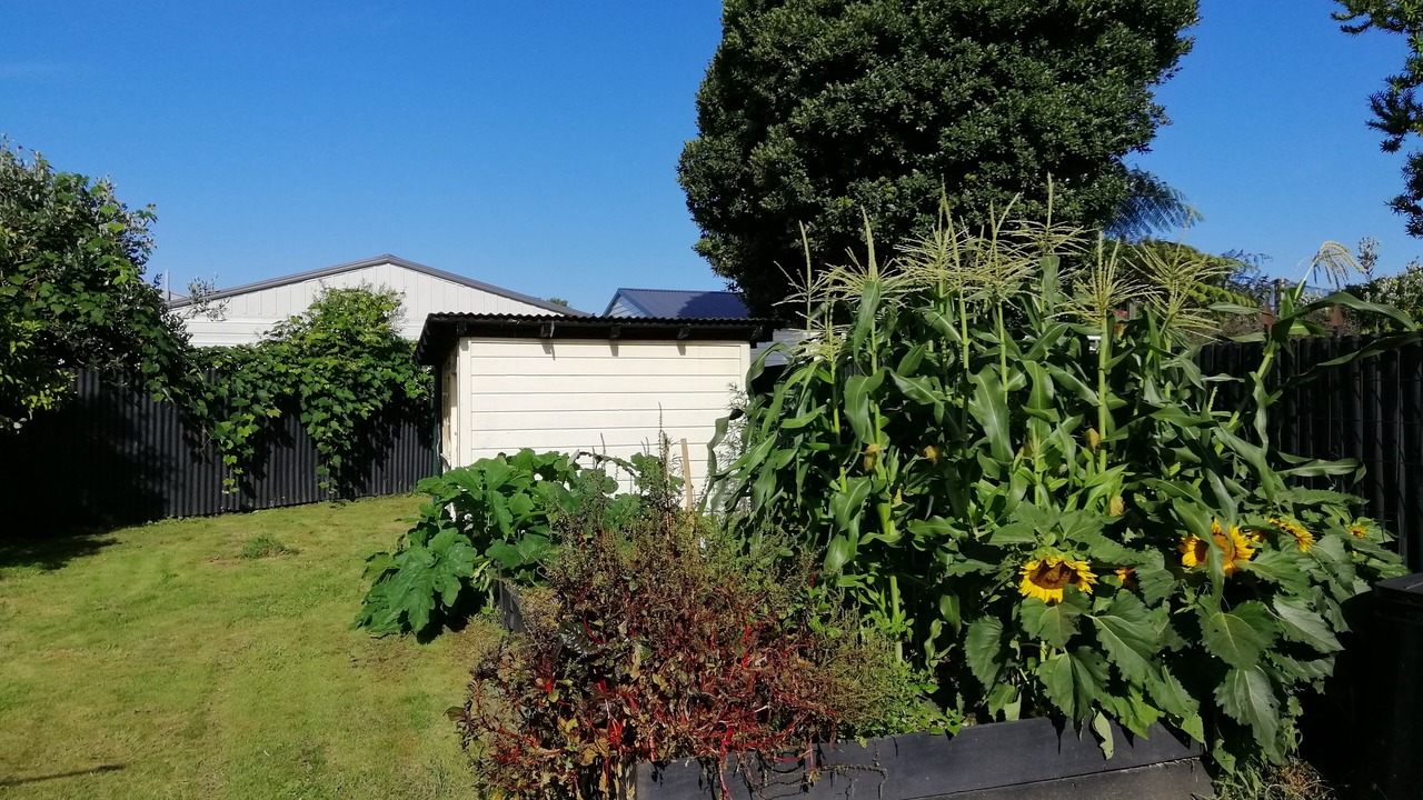 Photo of Outdoor in Motueka
