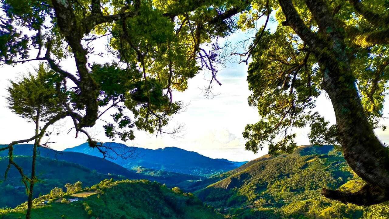 Photo of Outdoor in Canton Tarrazu