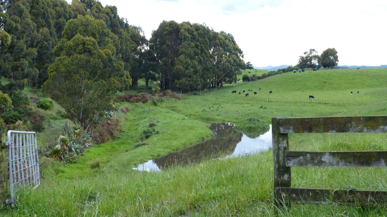 Photo of Outdoor in Fordell