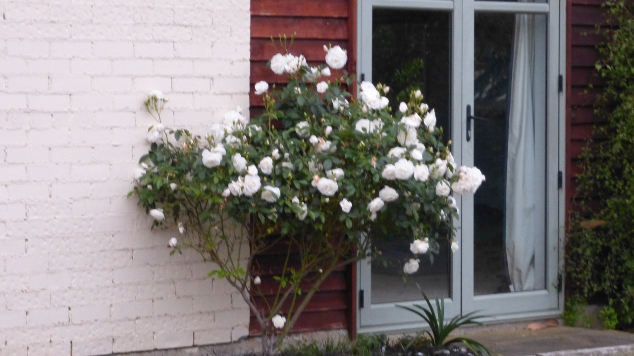 Photo of Outdoor in Fordell