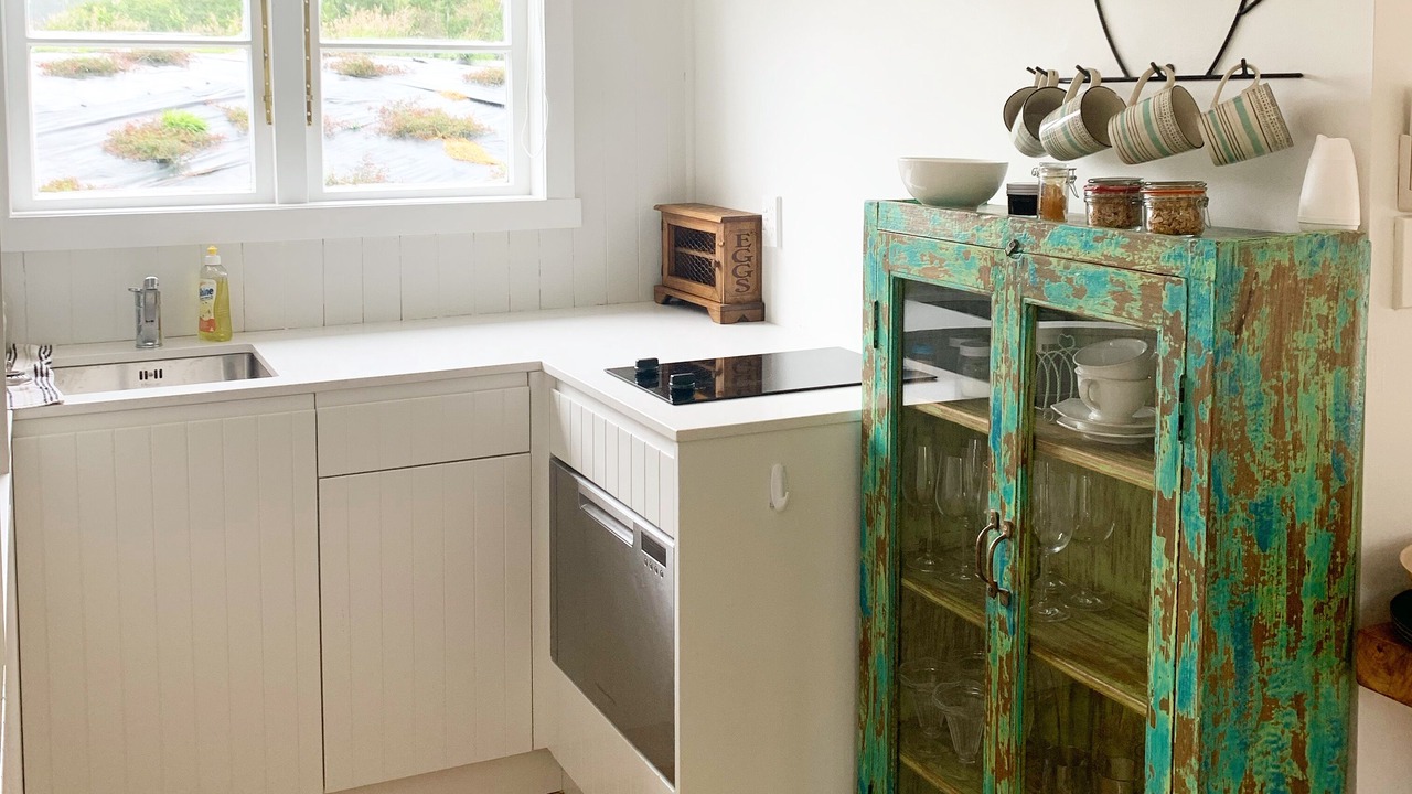 Photo of Kitchen in Wellington