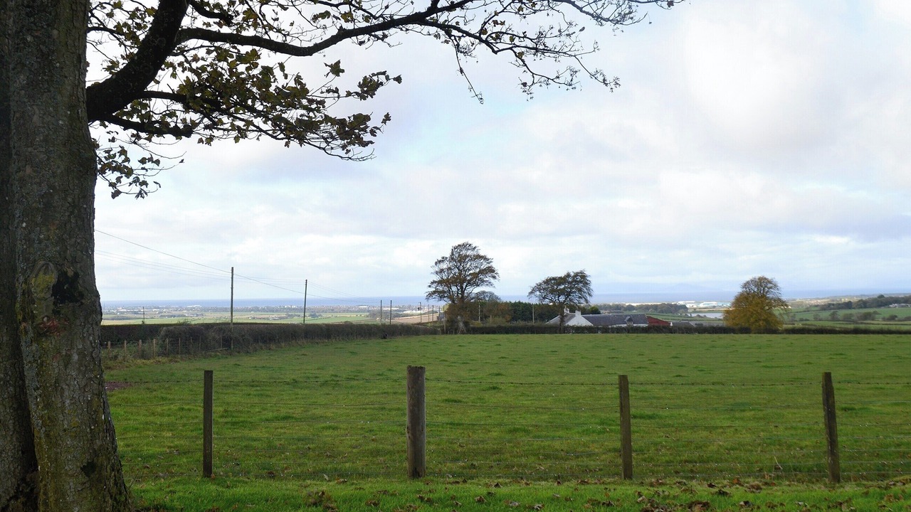 Photo of Others in Mauchline