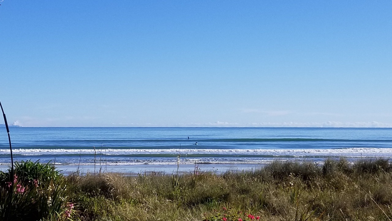 Photo of Others in Ohope
