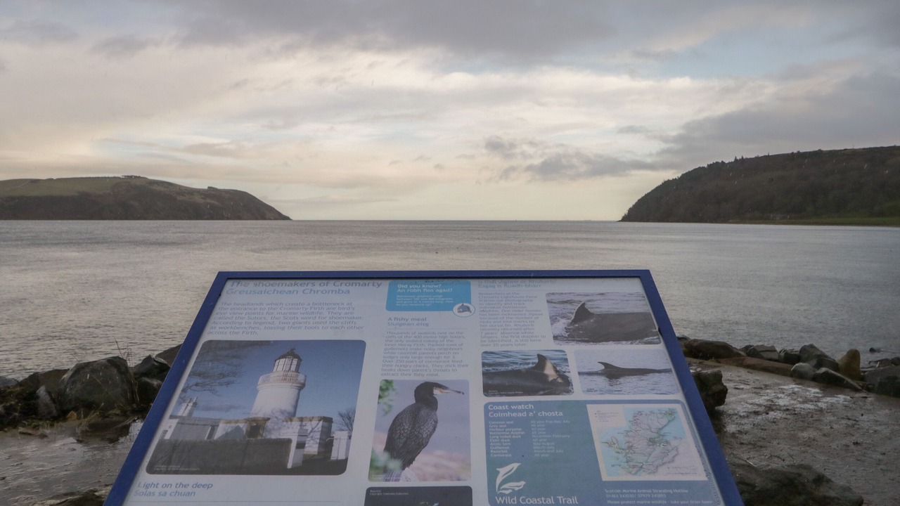 Photo of Others in Cromarty