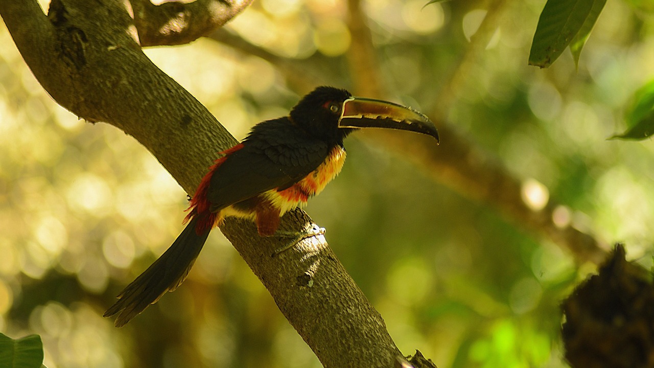 Photo of Outdoor in Montezuma