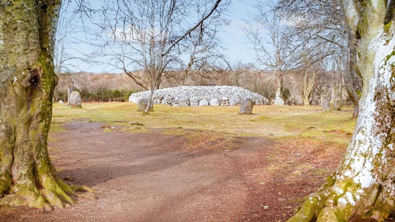 Photo of Others in Cannich