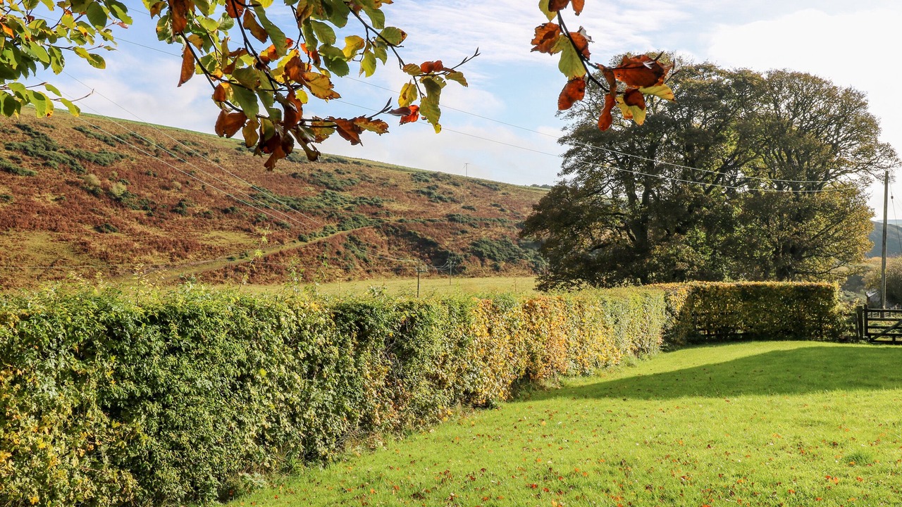 Photo of Outdoor in Duns