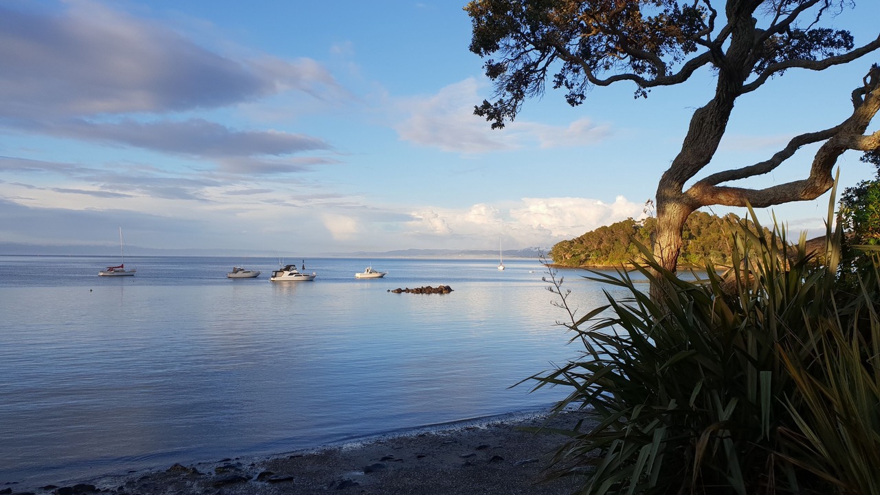 Photo of Others in Whangarei Heads