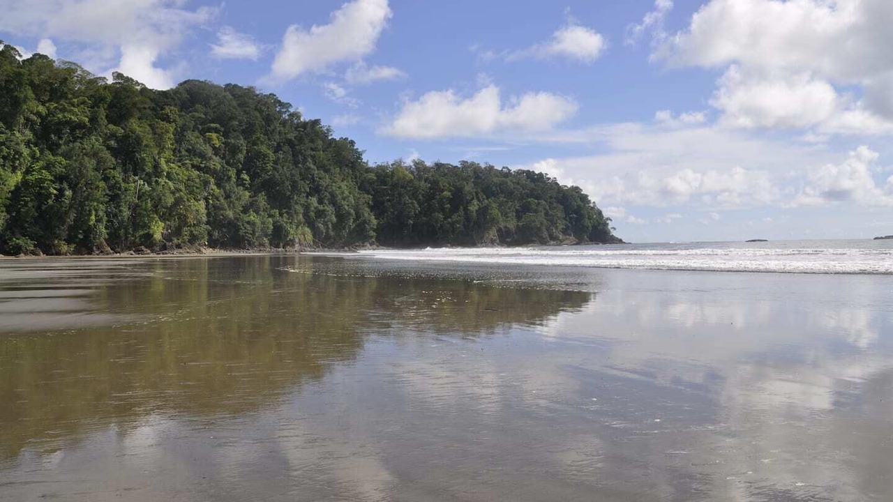 Photo of Others in Playa Tortuga