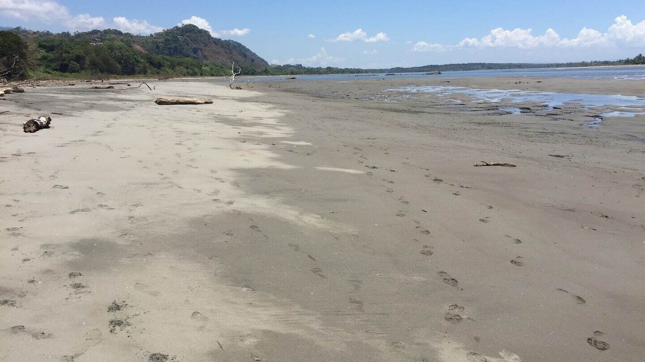 Photo of Others in Playa Tortuga