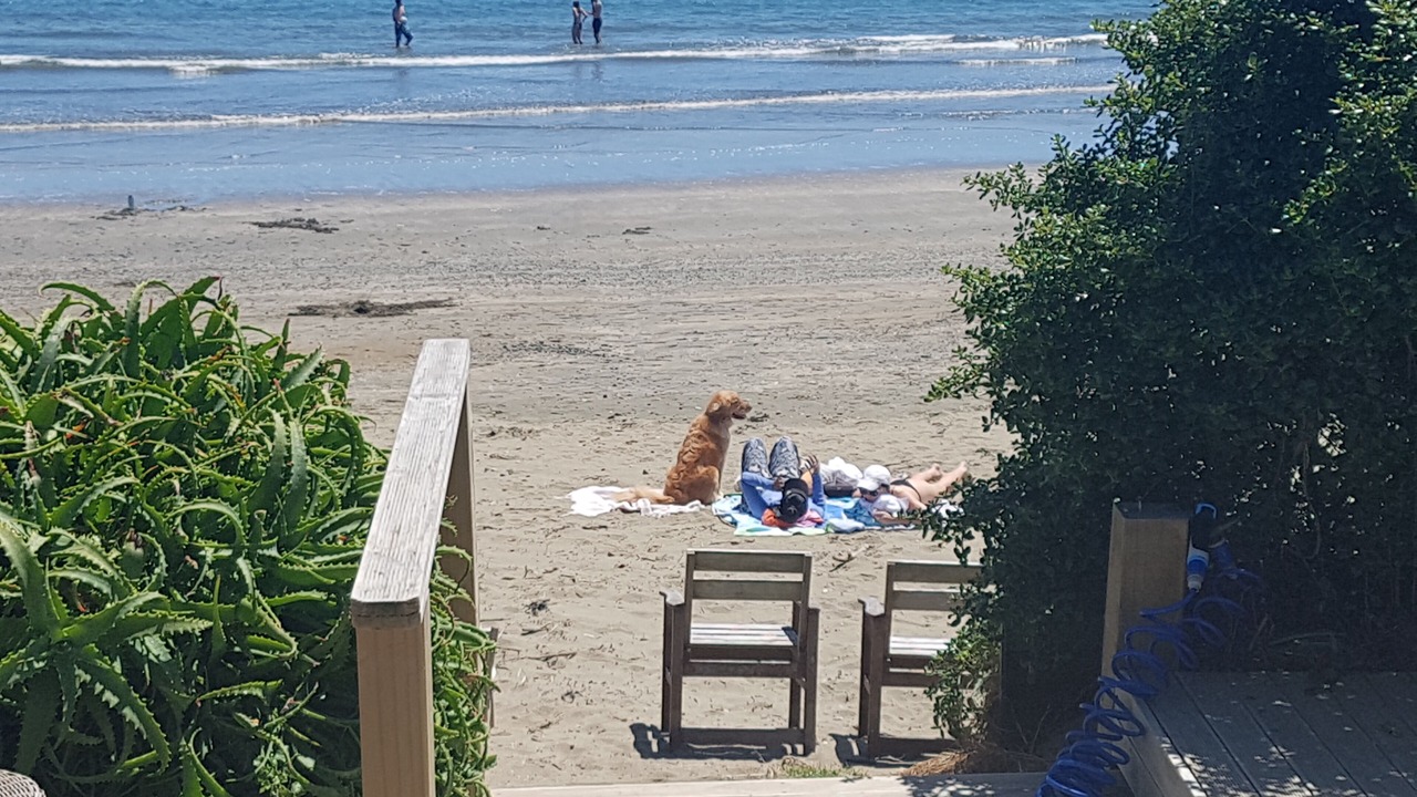 Photo of Others in Plimmerton