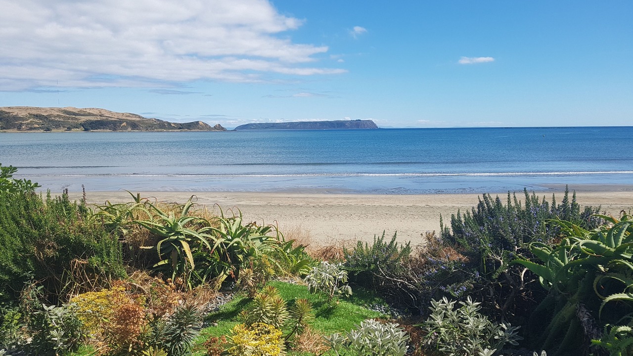 Photo of Others in Plimmerton
