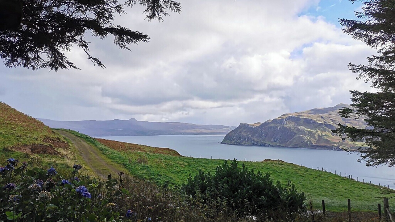 Photo of Others in Torvaig