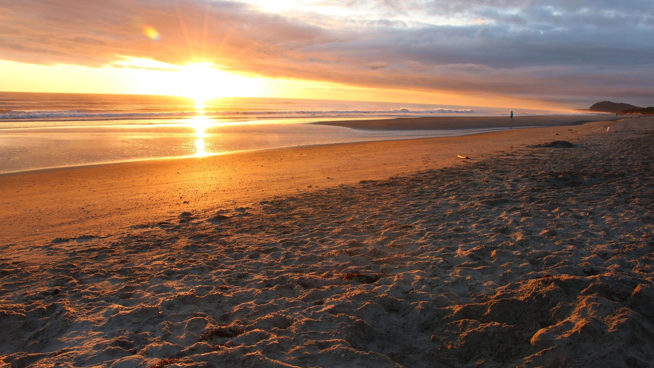 Photo of Others in Waihi Beach