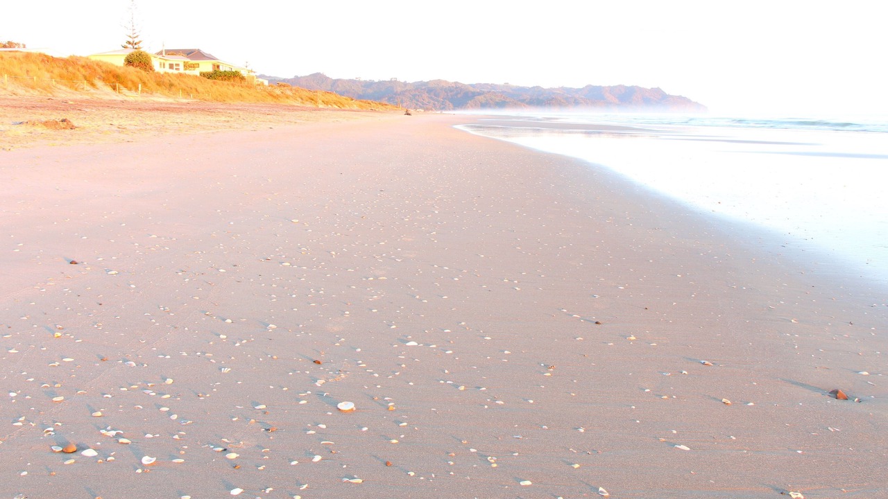Photo of Others in Waihi Beach