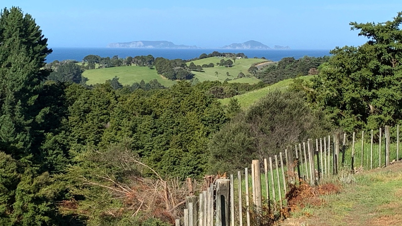 Photo of Others in Tutukaka