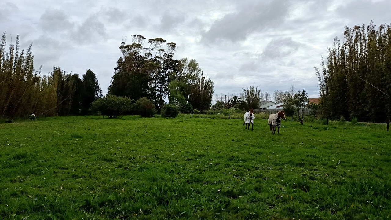 Photo of Others in Awanui