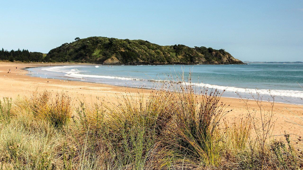 Photo of Others in Awanui