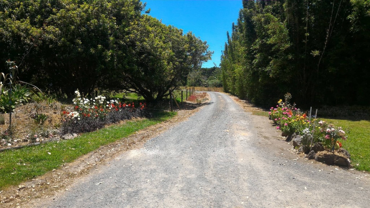 Photo of Outdoor in Awanui