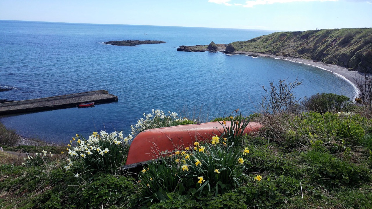 Photo of Others in Stonehaven