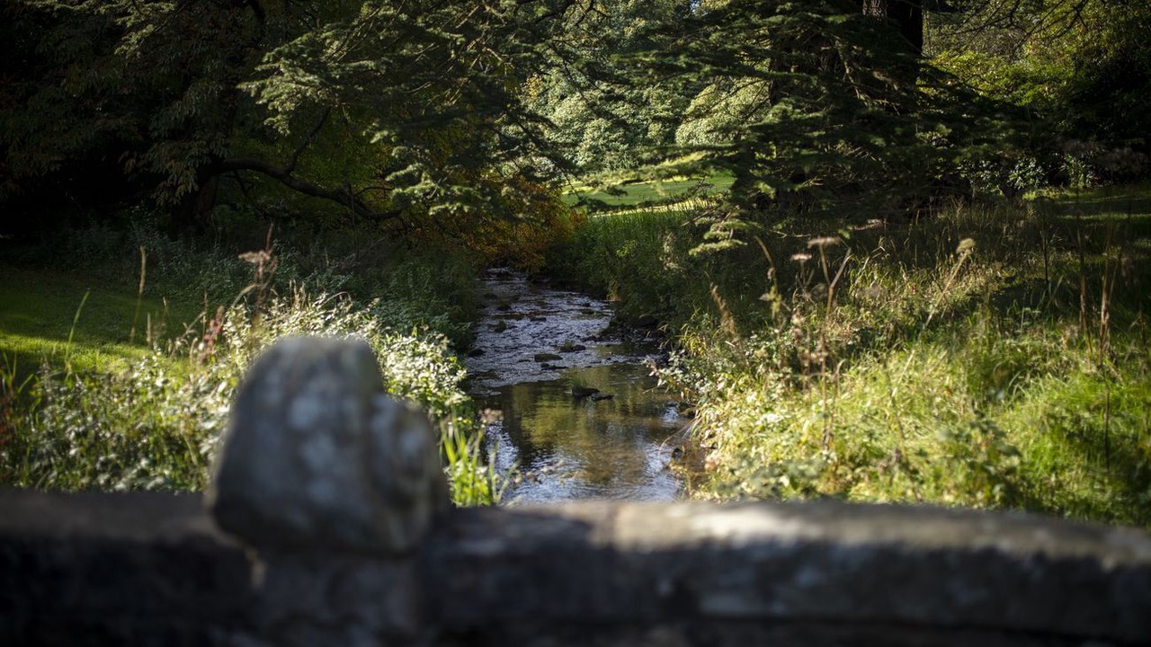 Photo of Outdoor in Gorebridge
