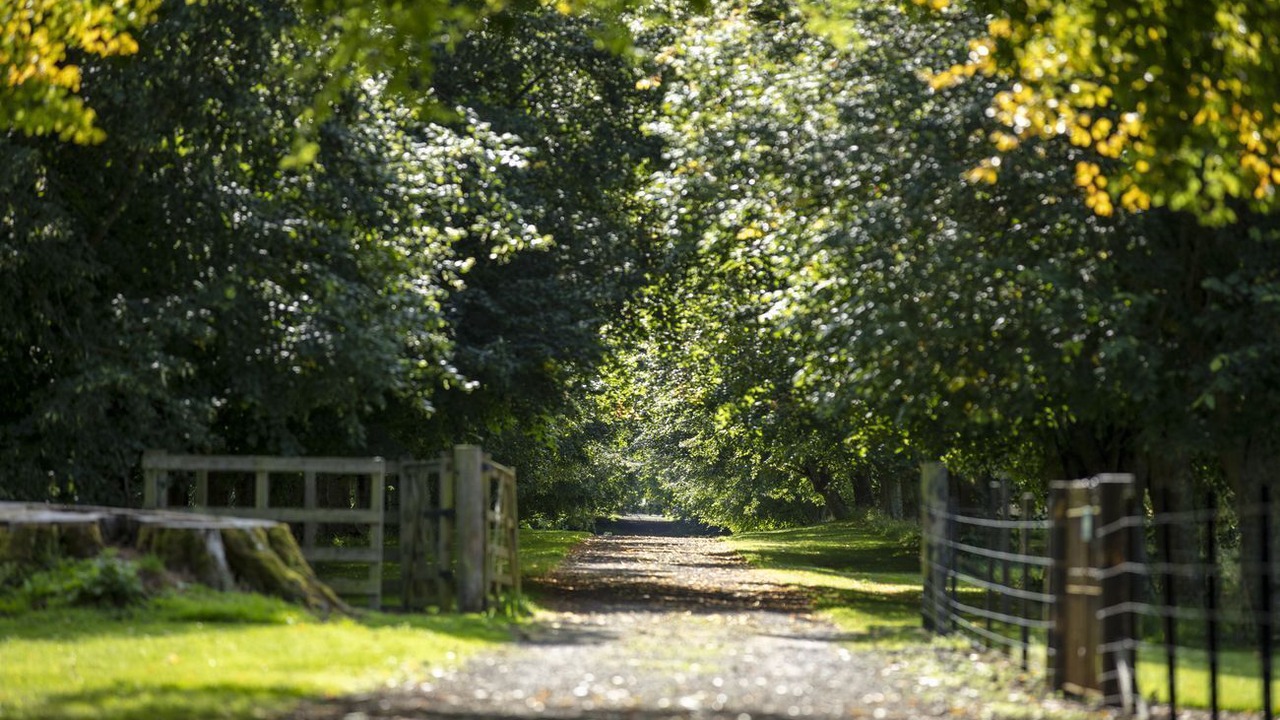 Photo of Others in Gorebridge