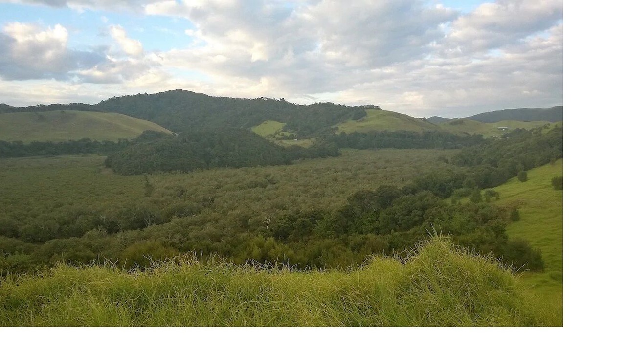 Photo of Outdoor in Russell
