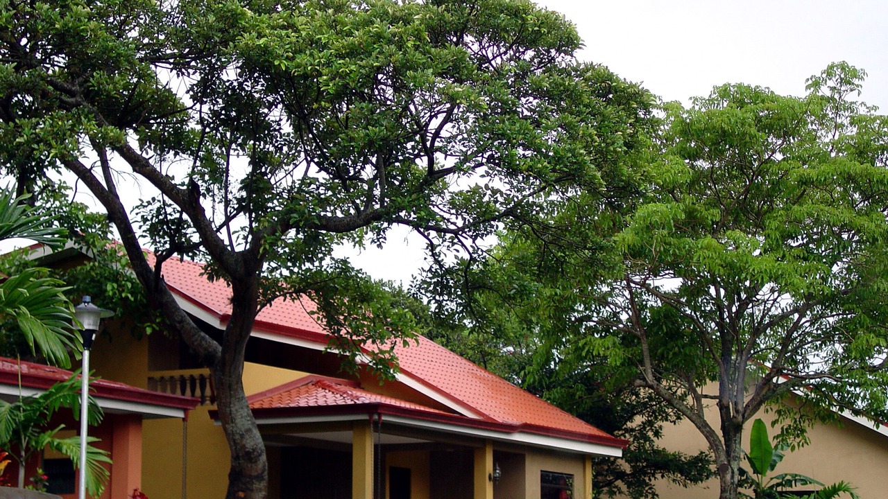 Photo of Outdoor in San Rafael de Heredia