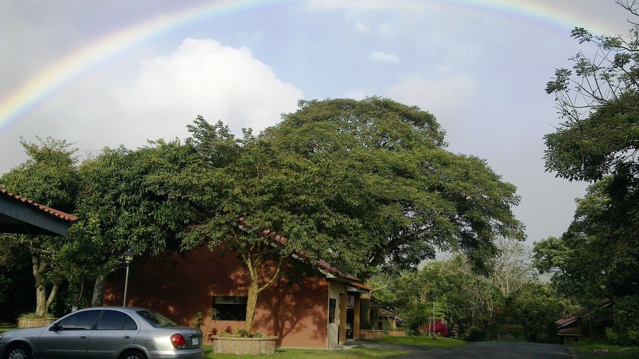 Photo of Others in San Rafael de Heredia