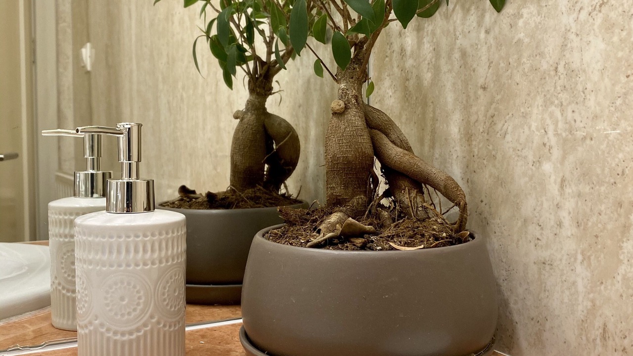 Photo of Bathroom in Pella Region