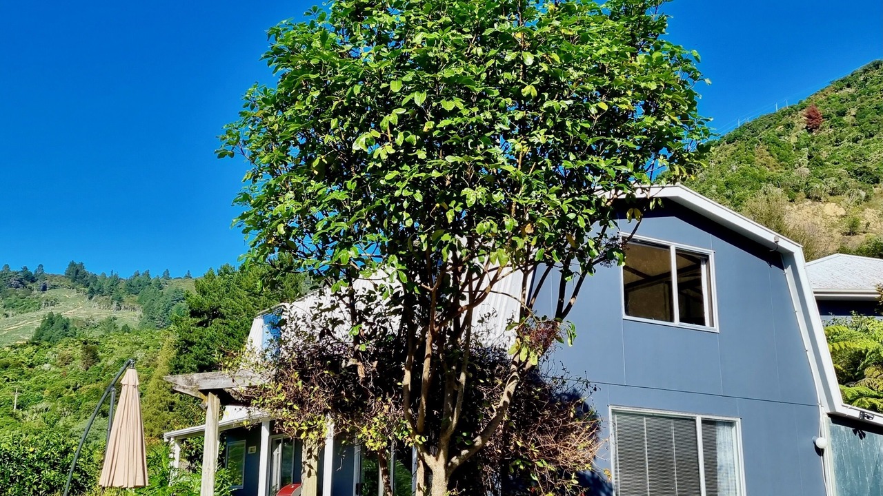 Photo of Outdoor in Havelock