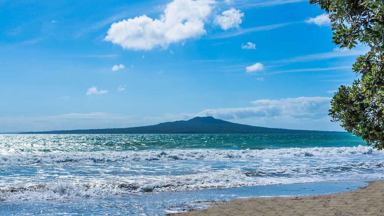 Photo of Others in Takapuna