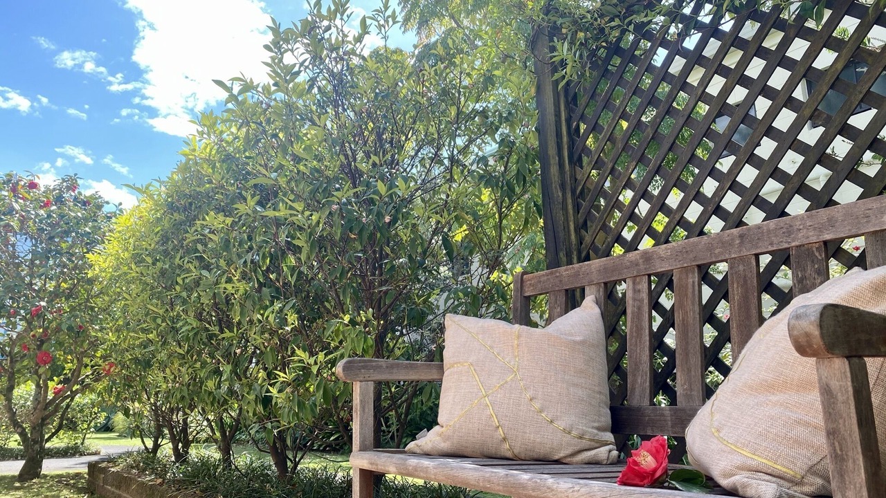 Photo of Outdoor in Takapuna