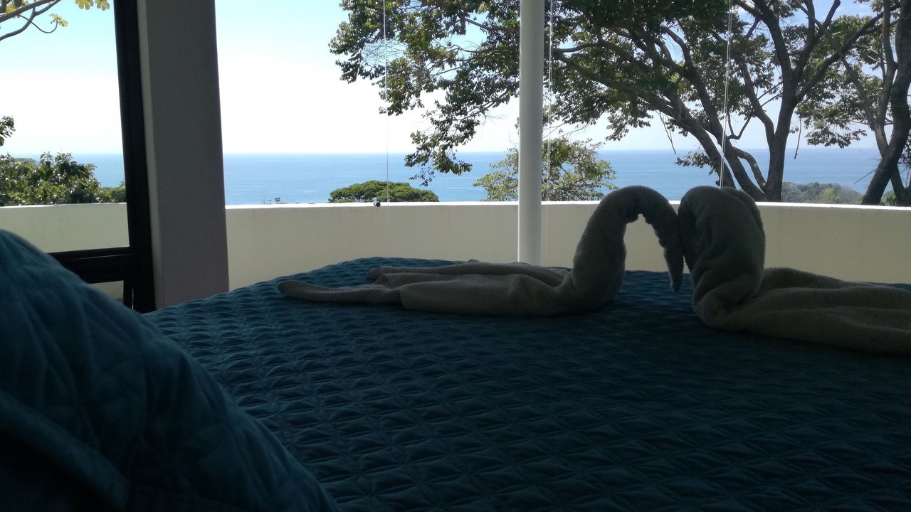 Photo of Outdoor in Dominicalito