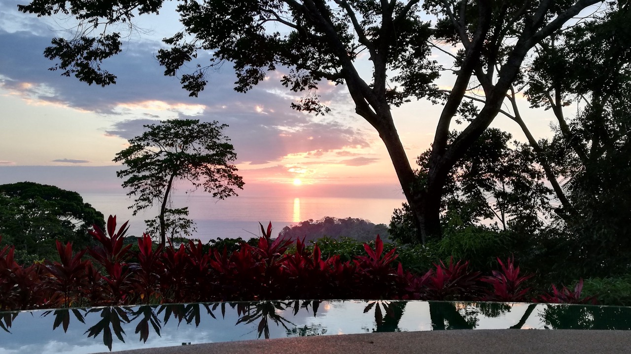 Photo of Outdoor in Dominicalito
