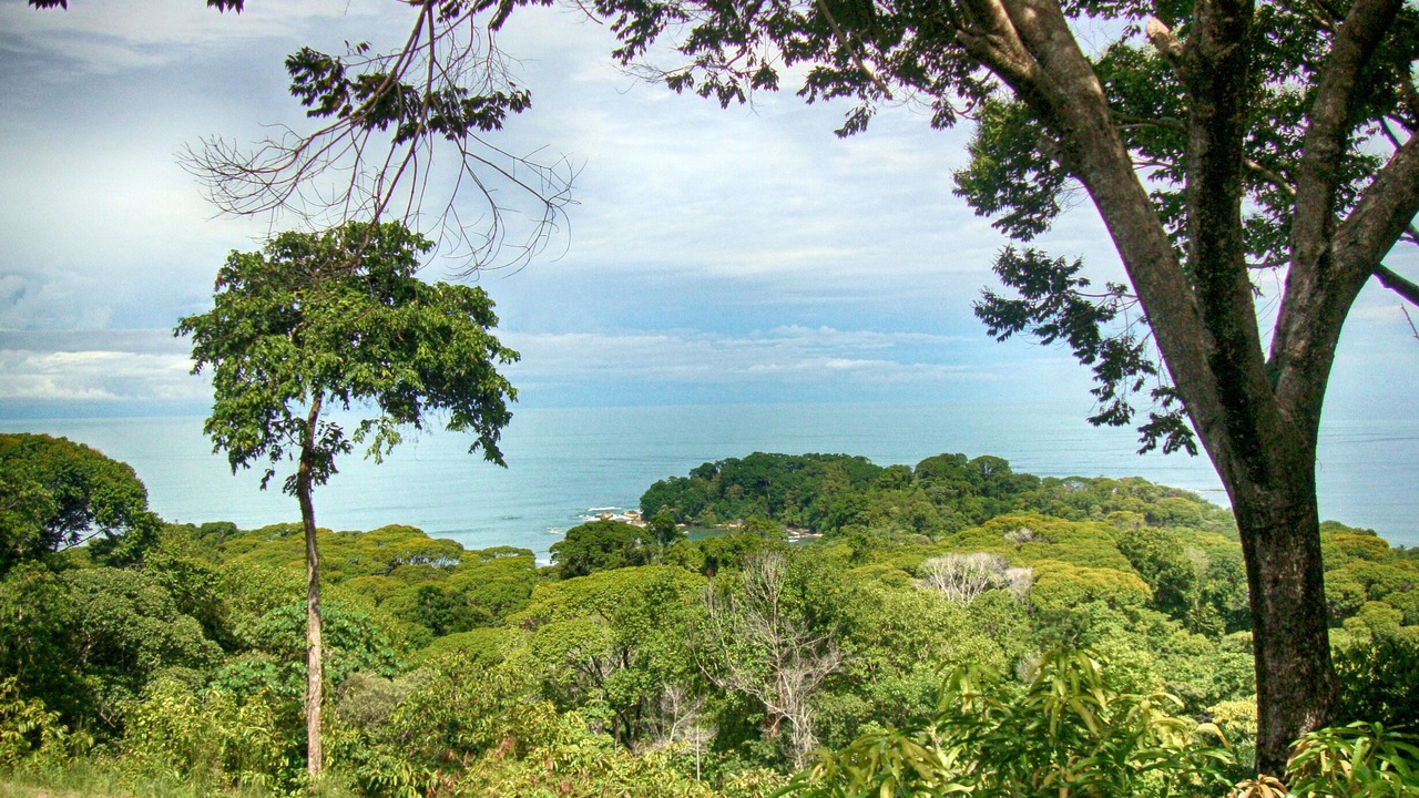 Photo of Outdoor in Dominicalito