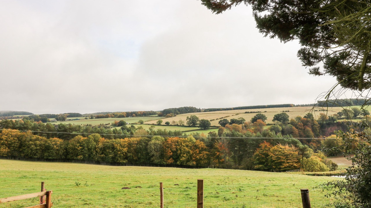 Photo of Outdoor in Jedburgh