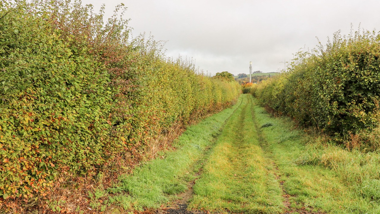 Photo of Outdoor in Jedburgh