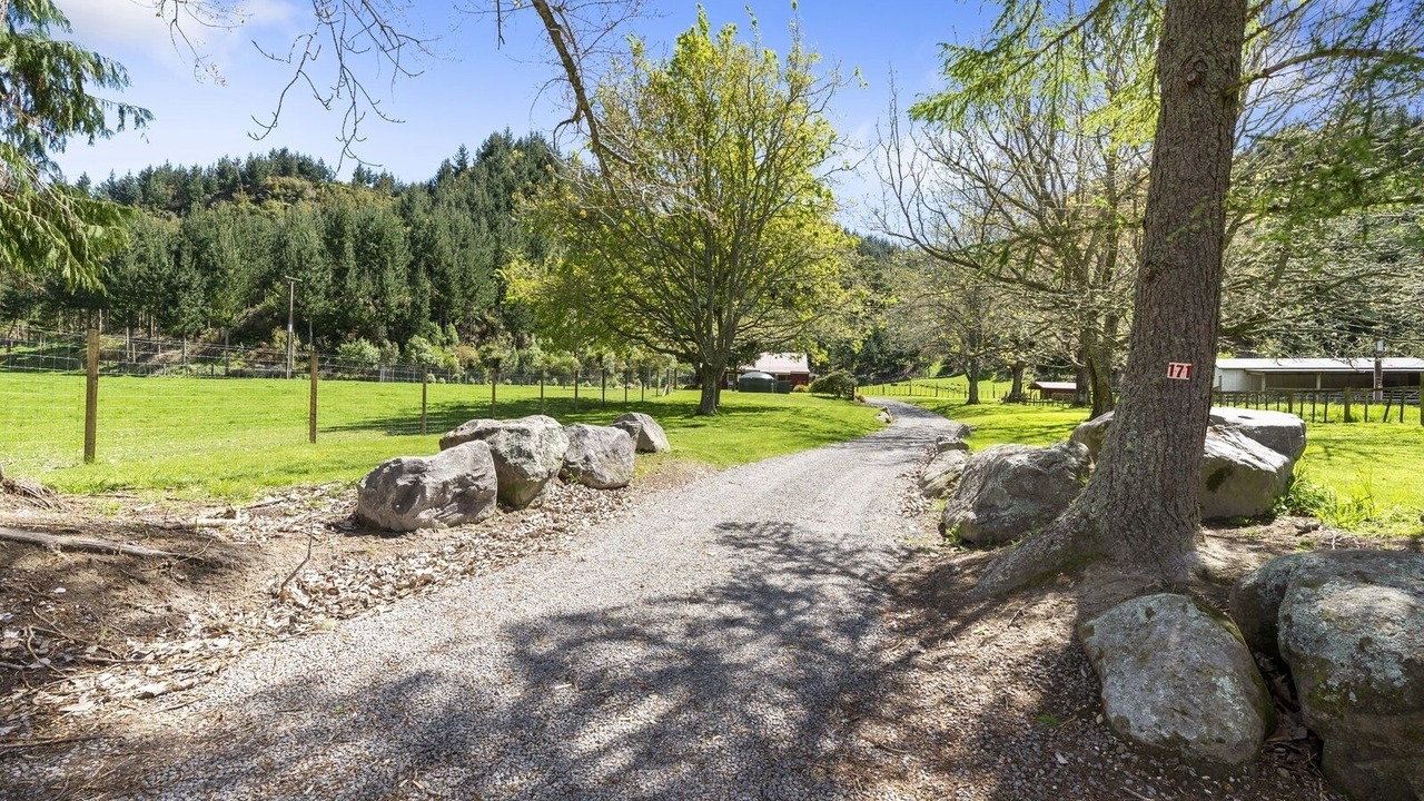 Photo of Outdoor in Lake Okareka