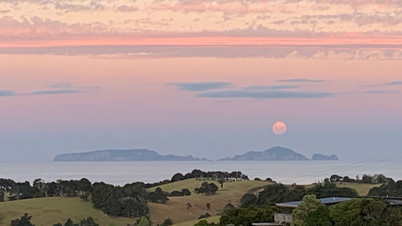 Photo of Outdoor in Tutukaka