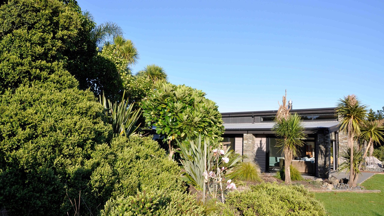 Photo of Outdoor in Tutukaka