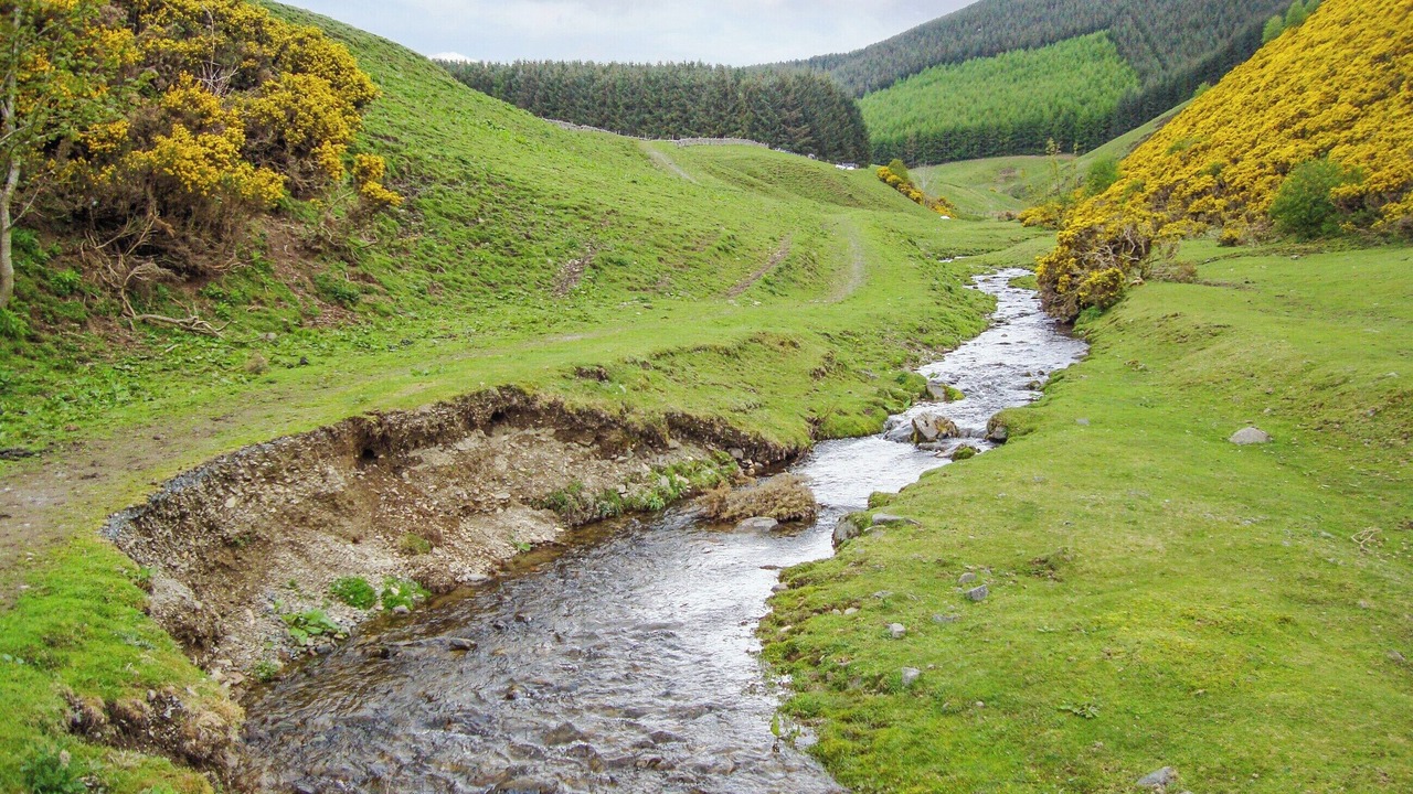 Photo of Others in Walkerburn