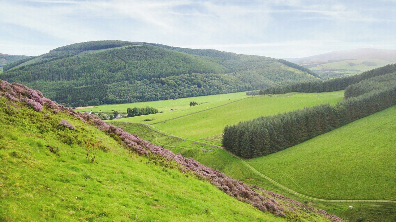 Photo of Others in Walkerburn