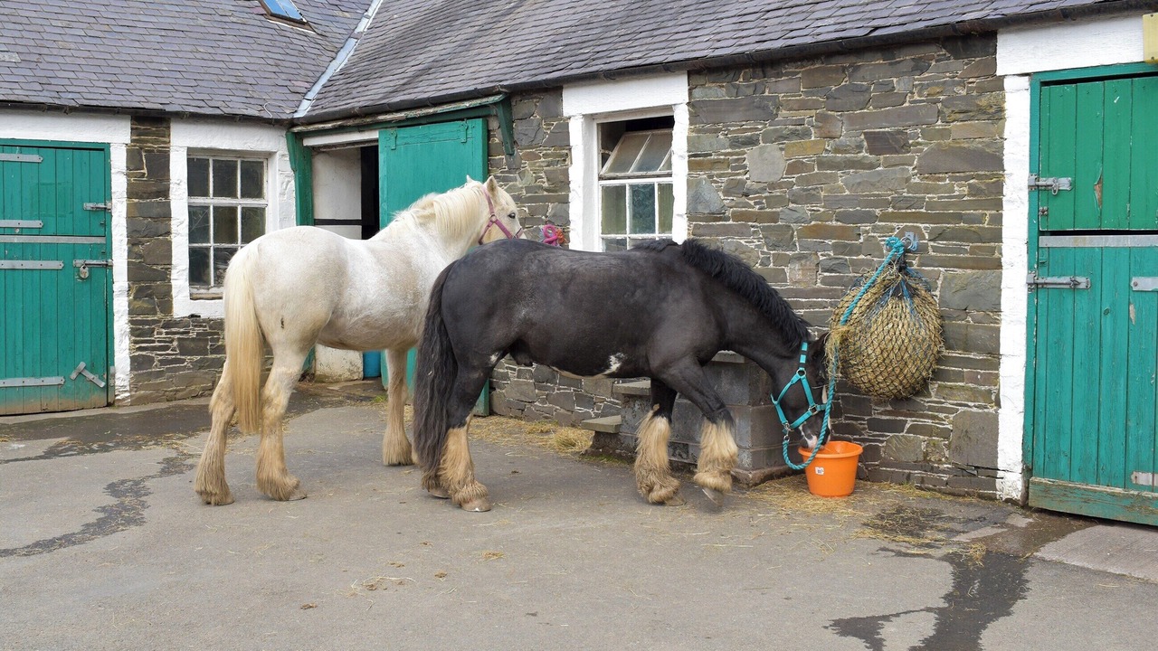 Photo of Others in Walkerburn