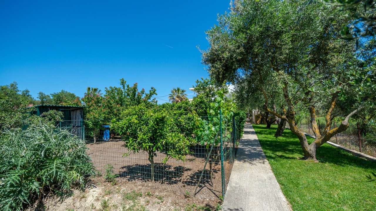 Photo of Outdoor in Zakynthos