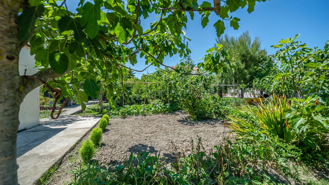 Photo of Outdoor in Zakynthos