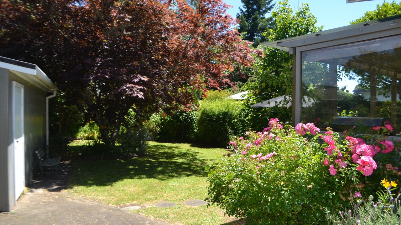 Photo of Outdoor in Turangi