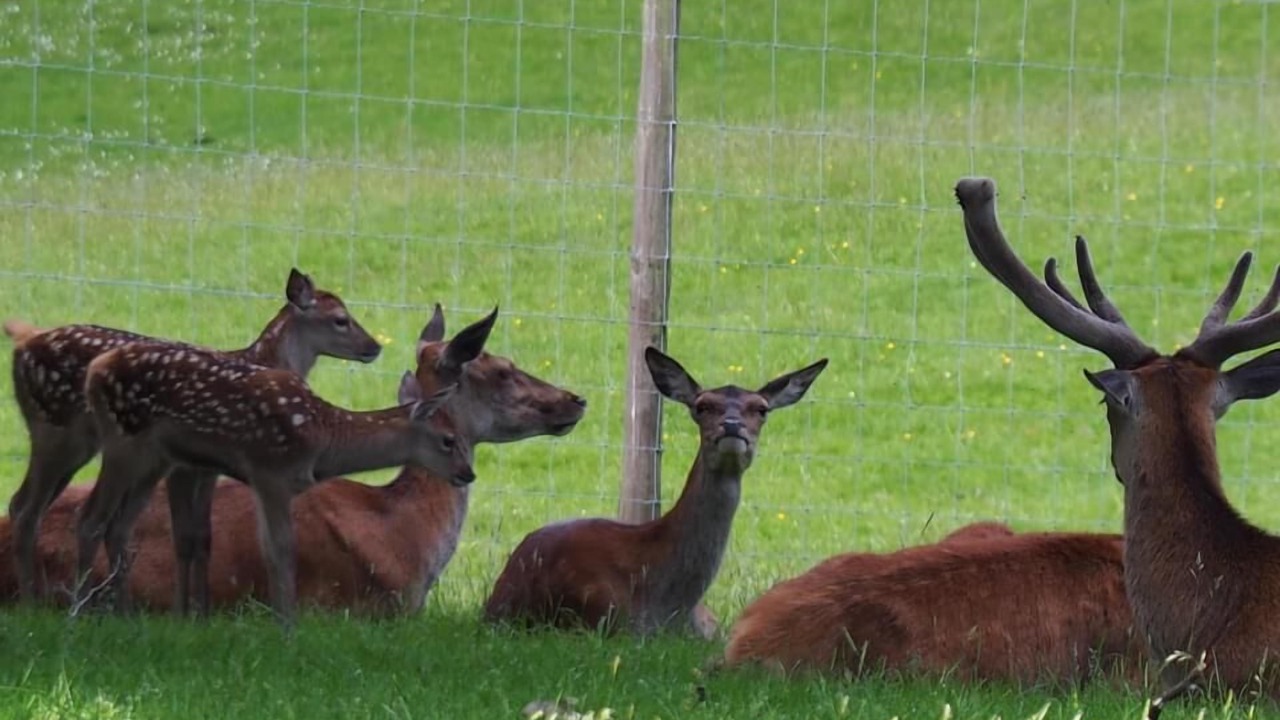Photo of Others in Pitlochry
