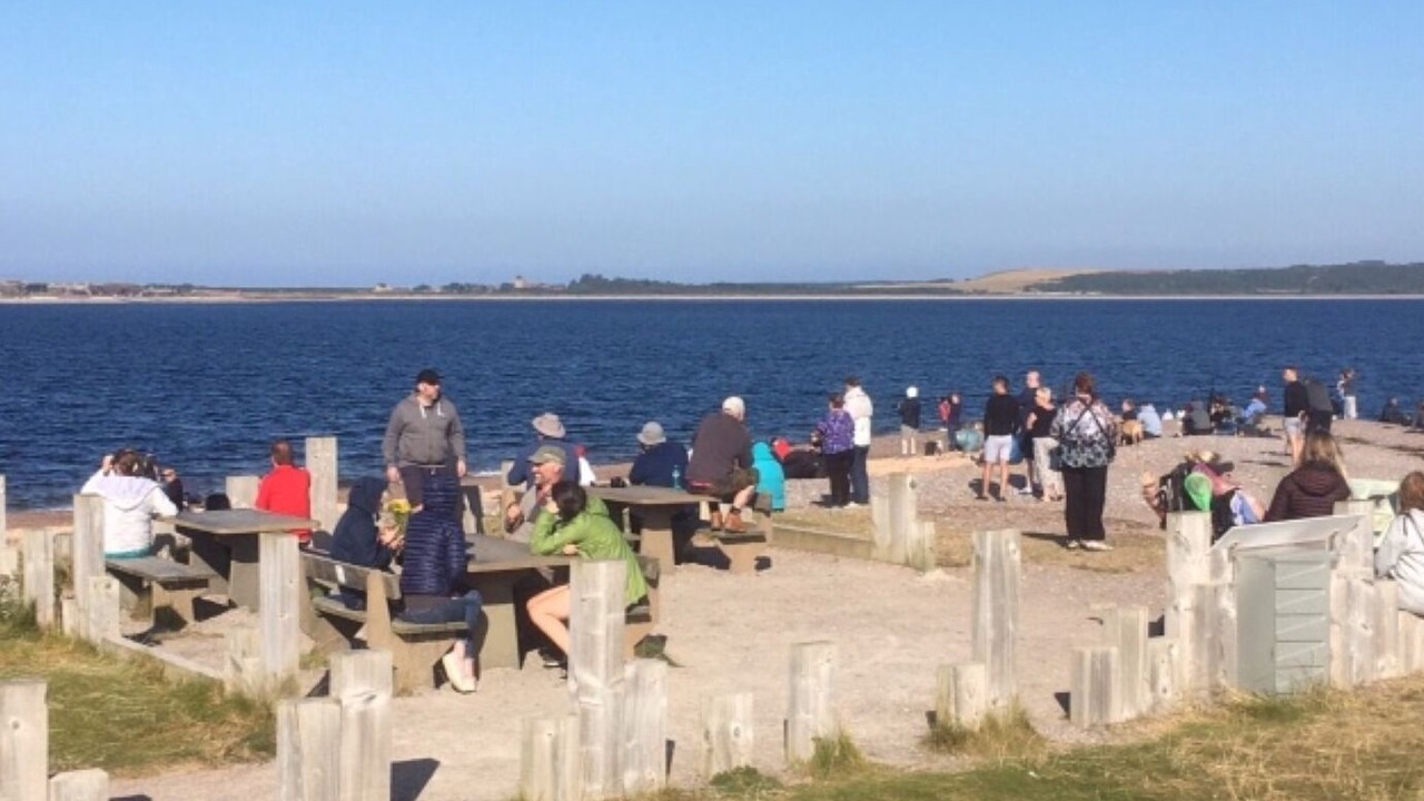 Photo of Others in Fortrose